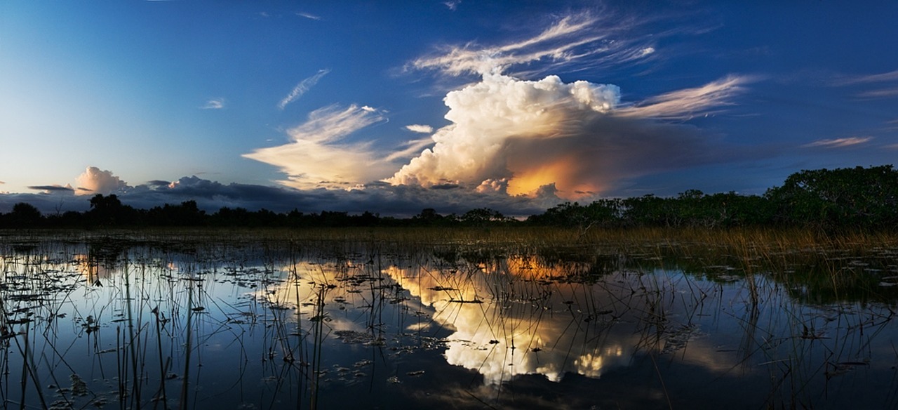 Everglades park Florida
